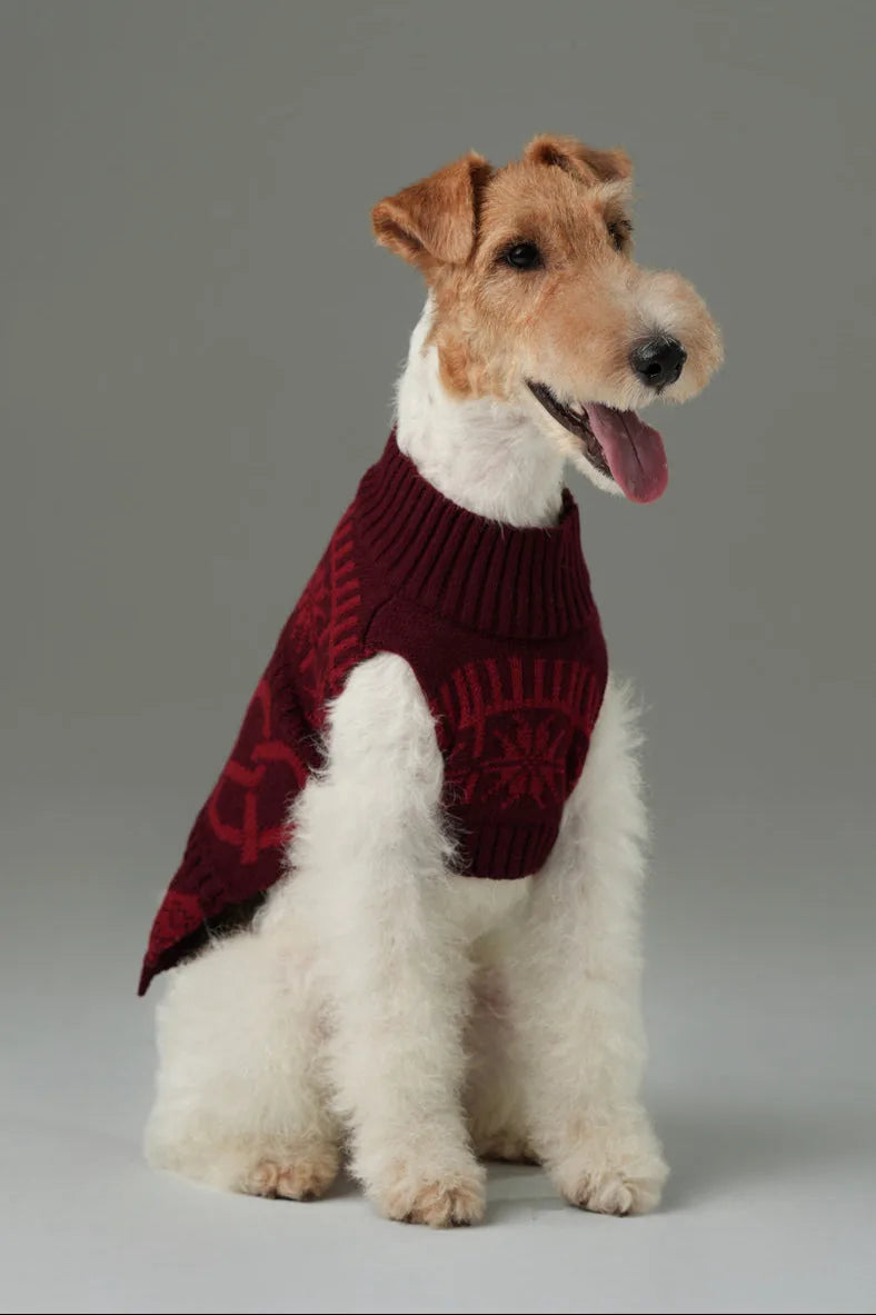 Cozy burgundy red knit sweater with festive pattern, perfect for keeping dogs warm in cooler seasons.