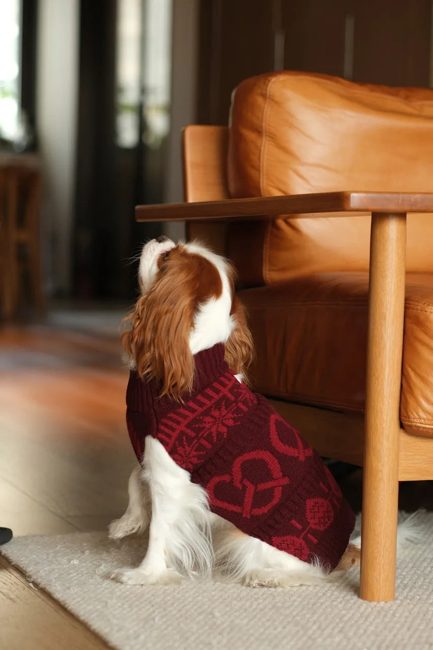 Burgundy red knit dog sweater with cozy patterns, designed for warmth and comfort during cooler seasons.