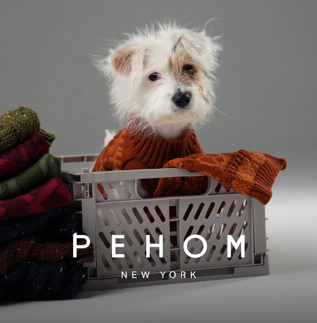 Cozy olive green pet sweater on a small dog surrounded by colorful knitted sweaters in a basket.