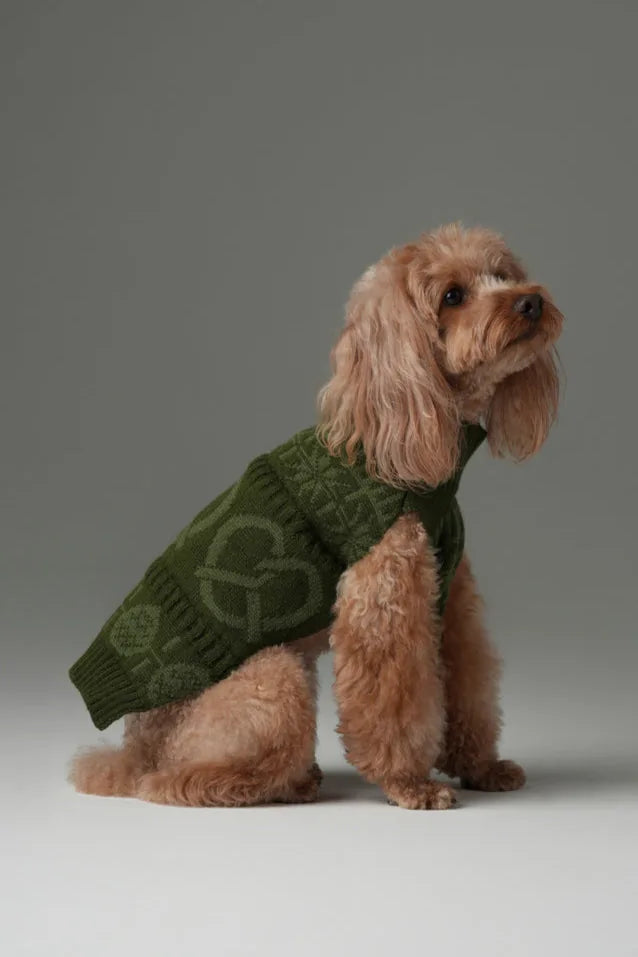 Cozy olive green pet sweater featuring a textured pattern, perfect for cooler seasons and designed for comfort.