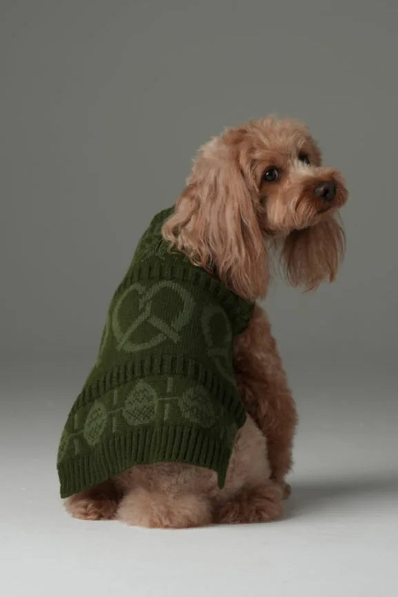 Cozy olive green pet sweater with textured patterns, perfect for cooler seasons, worn by a cute dog.
