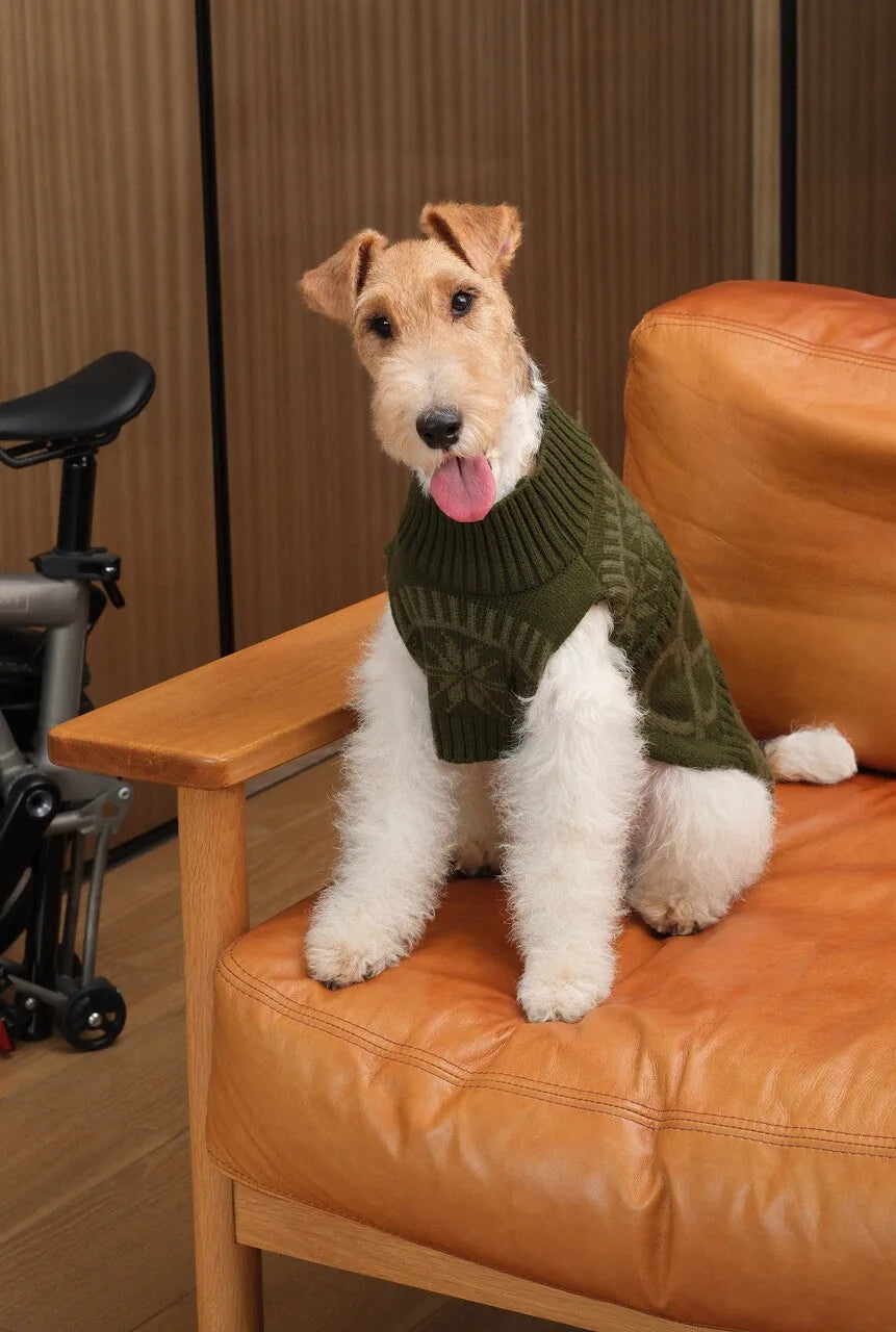 Cozy olive green pet sweater with a high collar, designed for comfort and warmth, worn by a fluffy dog on a leather chair.