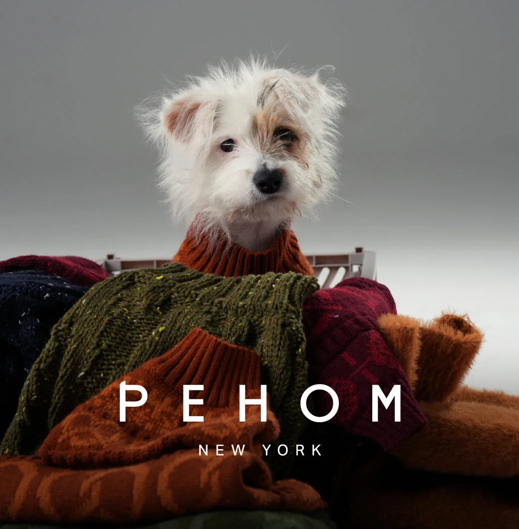 Toffee orange Pretzel Pet Sweater draped on a dog with fluffy fur, showcasing a cozy knit design from pehomnyc.