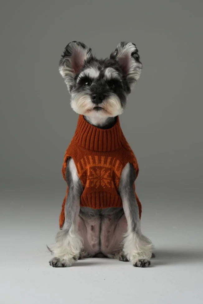 Cozy toffee orange dog sweater with a knit design, featuring ribbed neckline on a seated schnauzer.