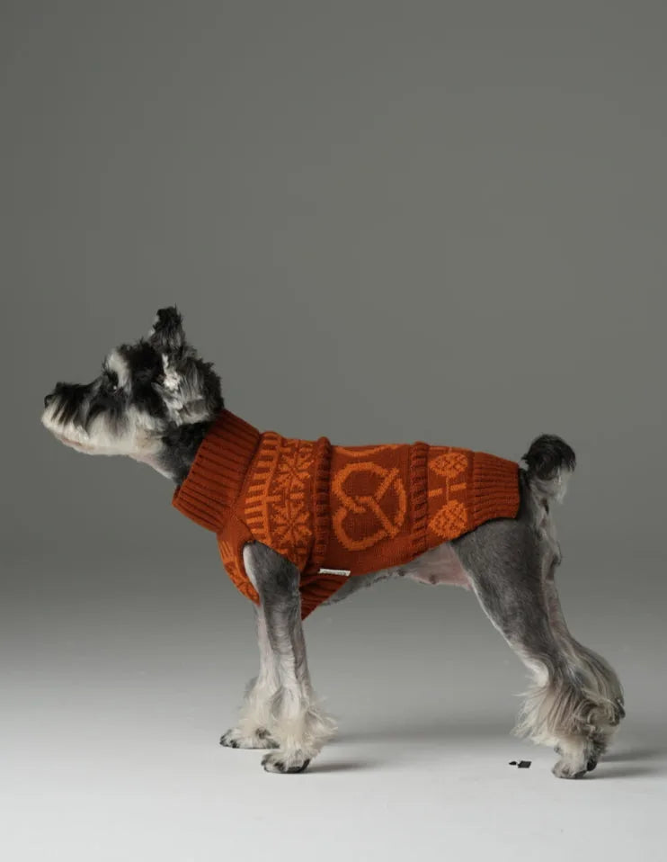 Toffee orange knit dog sweater with unique pretzel design, keeping pets stylish and cozy. Available in multiple sizes.