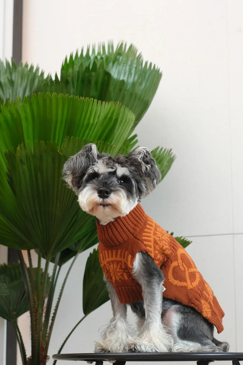 Toffee orange dog sweater with a knitted pretzel pattern, providing warmth and style for your pet.