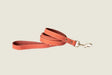 Pro Line Hunting Coral Reef Leather Leash
