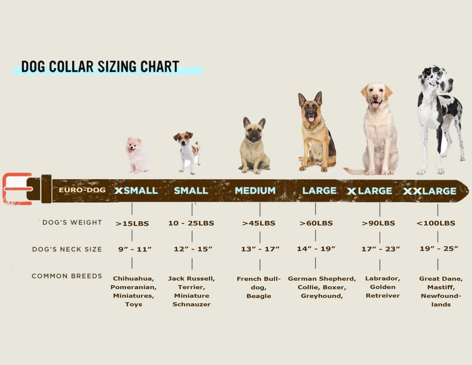 Dog collar sizing chart showing different dog breeds and their corresponding size ranges for Euro-Dog collars.