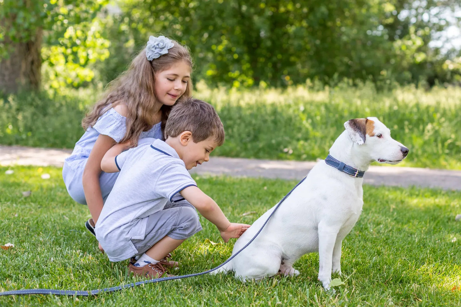 Children interact with a white dog wearing a soft navy leather collar and leash in a green park setting.