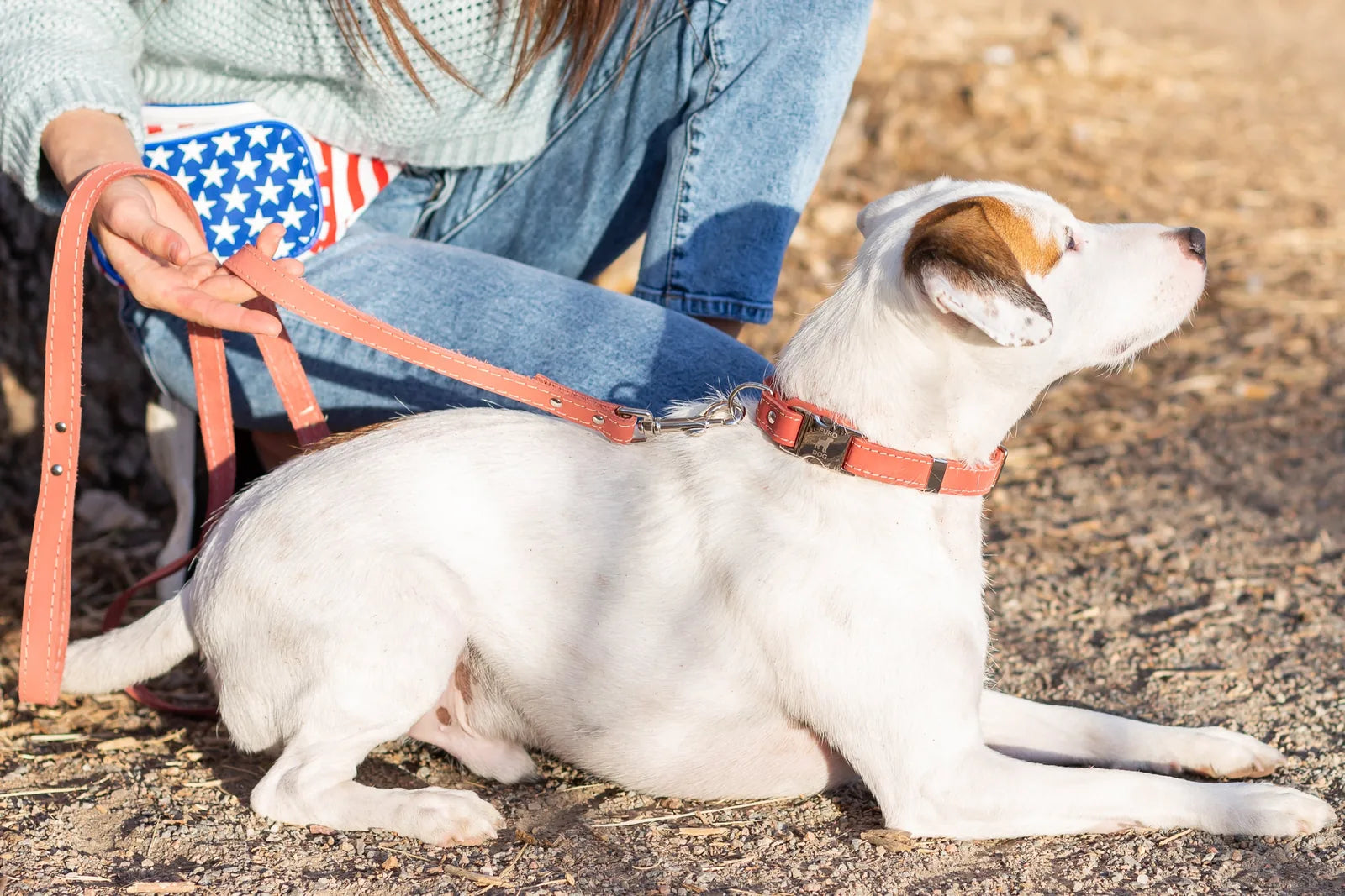Quick-release coral reef leather dog collar on a white dog, paired with a matching leash, on a sunny outdoor path.