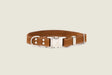Pro Line Quick-Release Earth Brown Leather Dog Collar with Metal Buckle