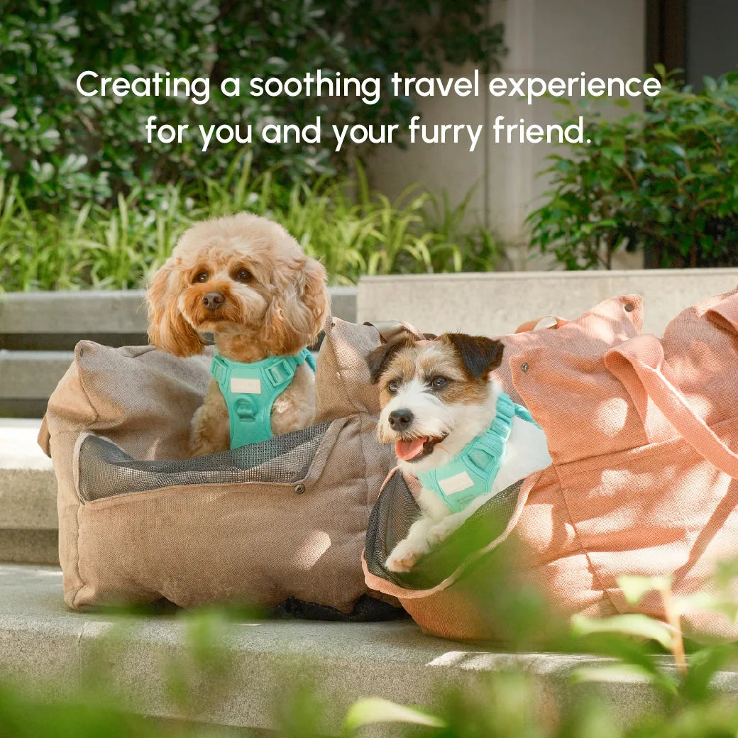 Two dogs in turquoise harnesses relax in cozy, tan pet car seats with mesh openings, framed by greenery.