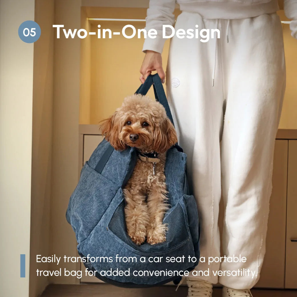 Small dog comfortably seated in a blue portable car seat that converts to a travel bag, held by a person.
