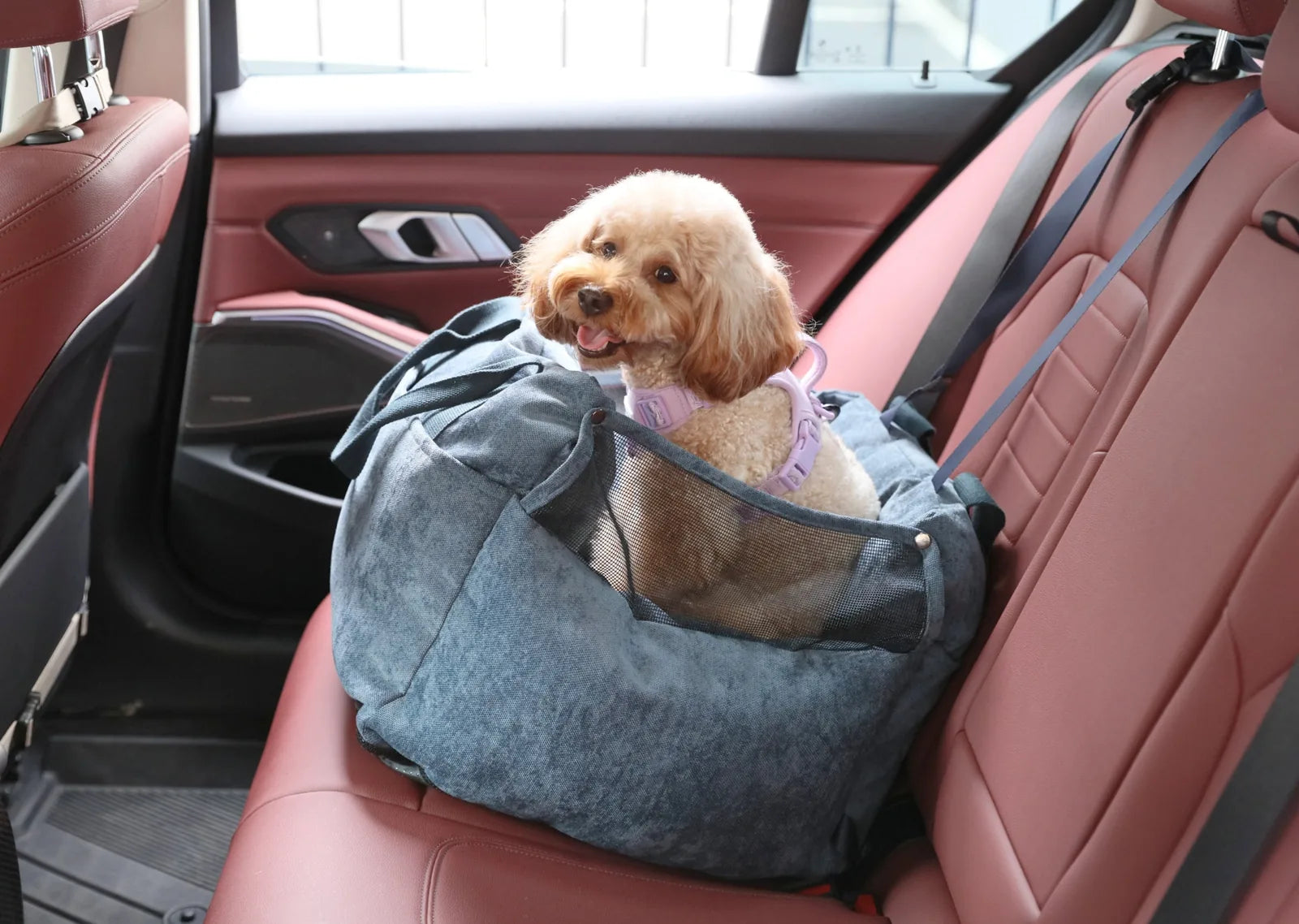 Water-repellent blue dog car seat with mesh walls, featuring a small dog comfortably secured inside, set in a red car inte...