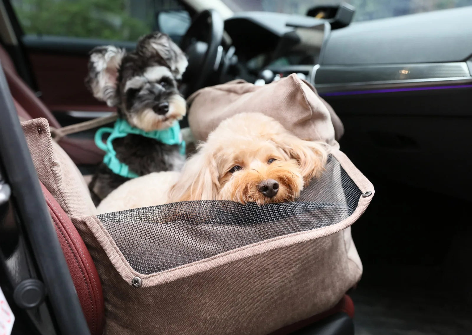 Cozy pink dog car seat with mesh sides, featuring a relaxed dog inside while another dog is seated behind.