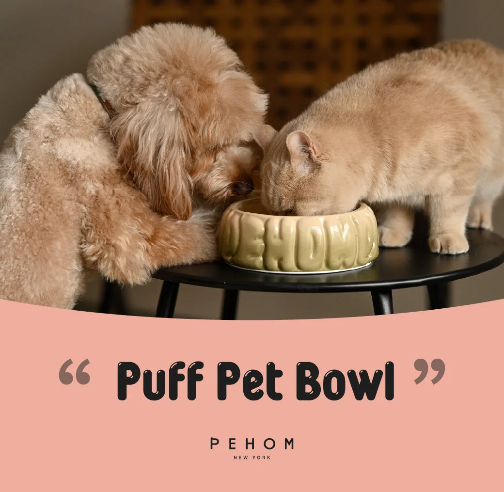 Ceramic Puff Pet Bowl in gradient caramel, with a spill-proof rim, as a dog and cat share mealtime peacefully.