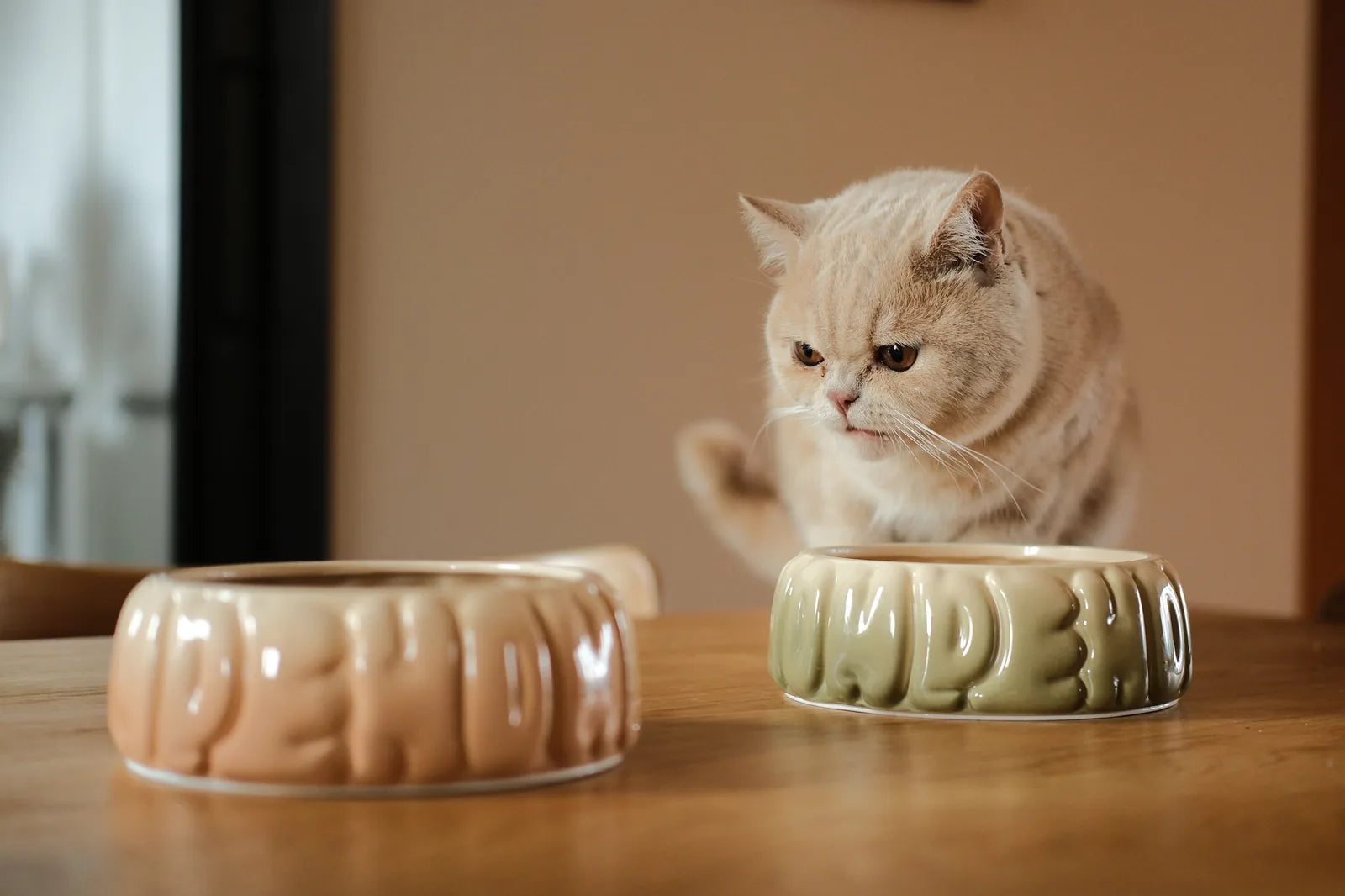 Ceramic puff pet bowls in gradient caramel and green, displayed on a wooden surface with a cat nearby.