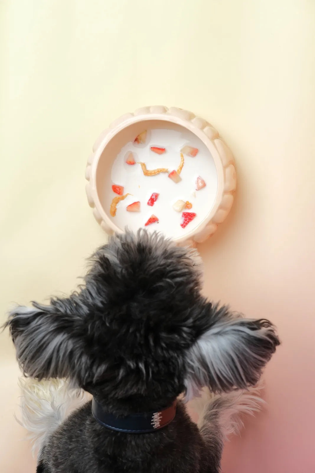 Ceramic pet bowl in gradient caramel, filled with milk and toppings, viewed from above with a dog's head nearby.