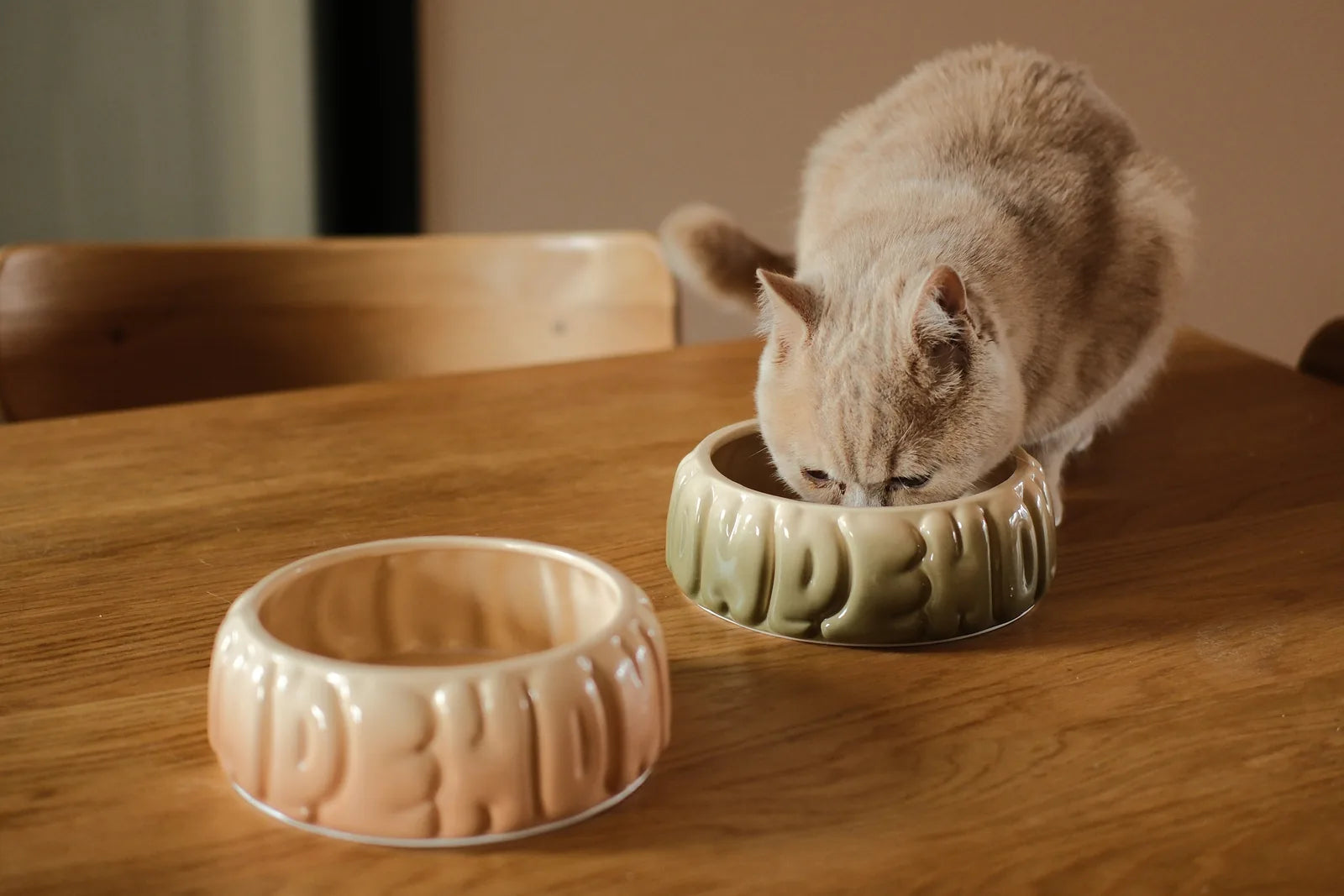 Gradient caramel ceramic pet bowl with a spill-proof rim, featuring a cat eating from the bowl on a wooden table.