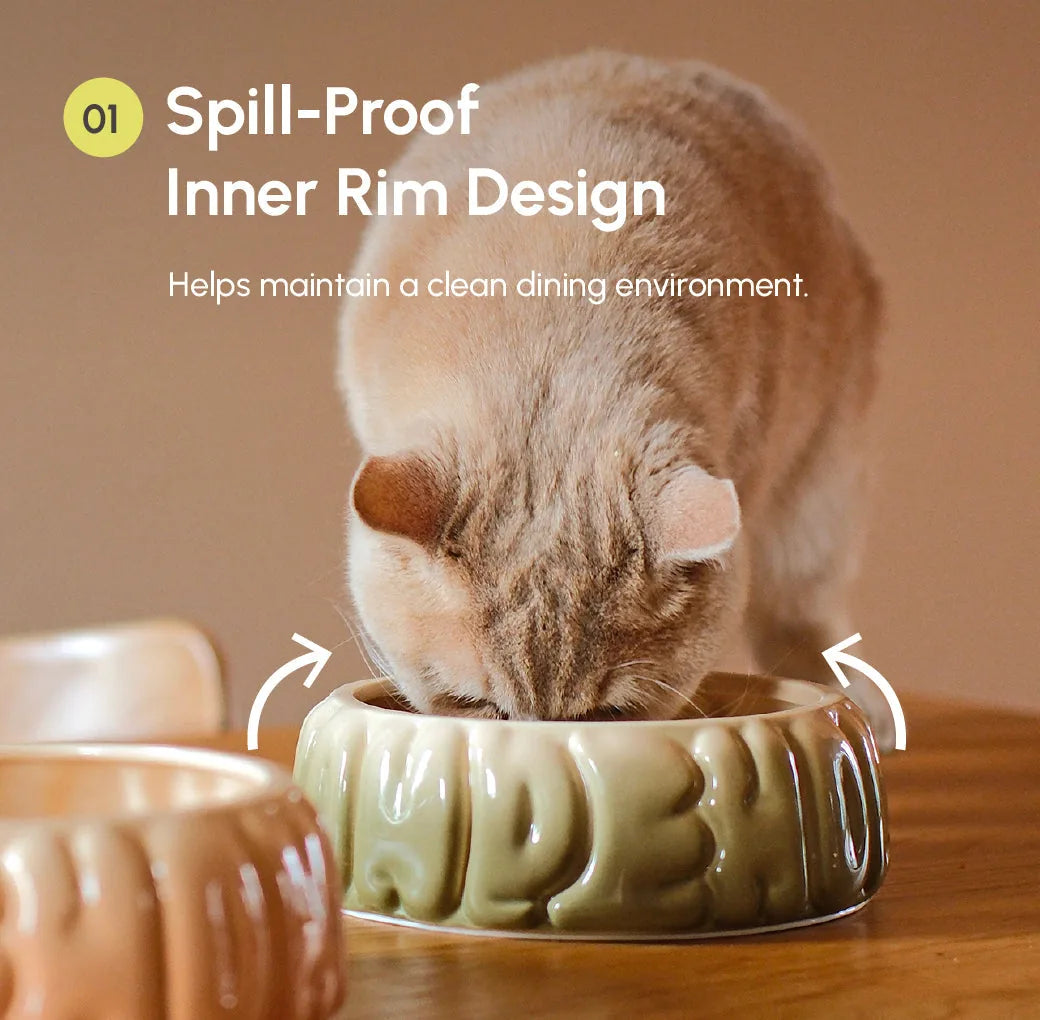Gradient olive ceramic pet bowl with spill-proof inner rim, designed for small to medium pets, featuring a smooth arc shape.