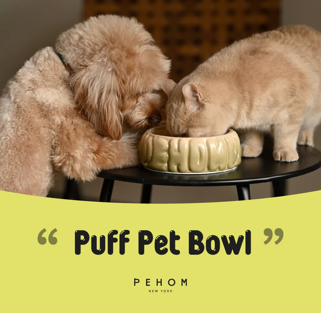 Two pets, a fluffy dog and a cat, share the Puff Pet Bowl in gradient olive color on a black table.