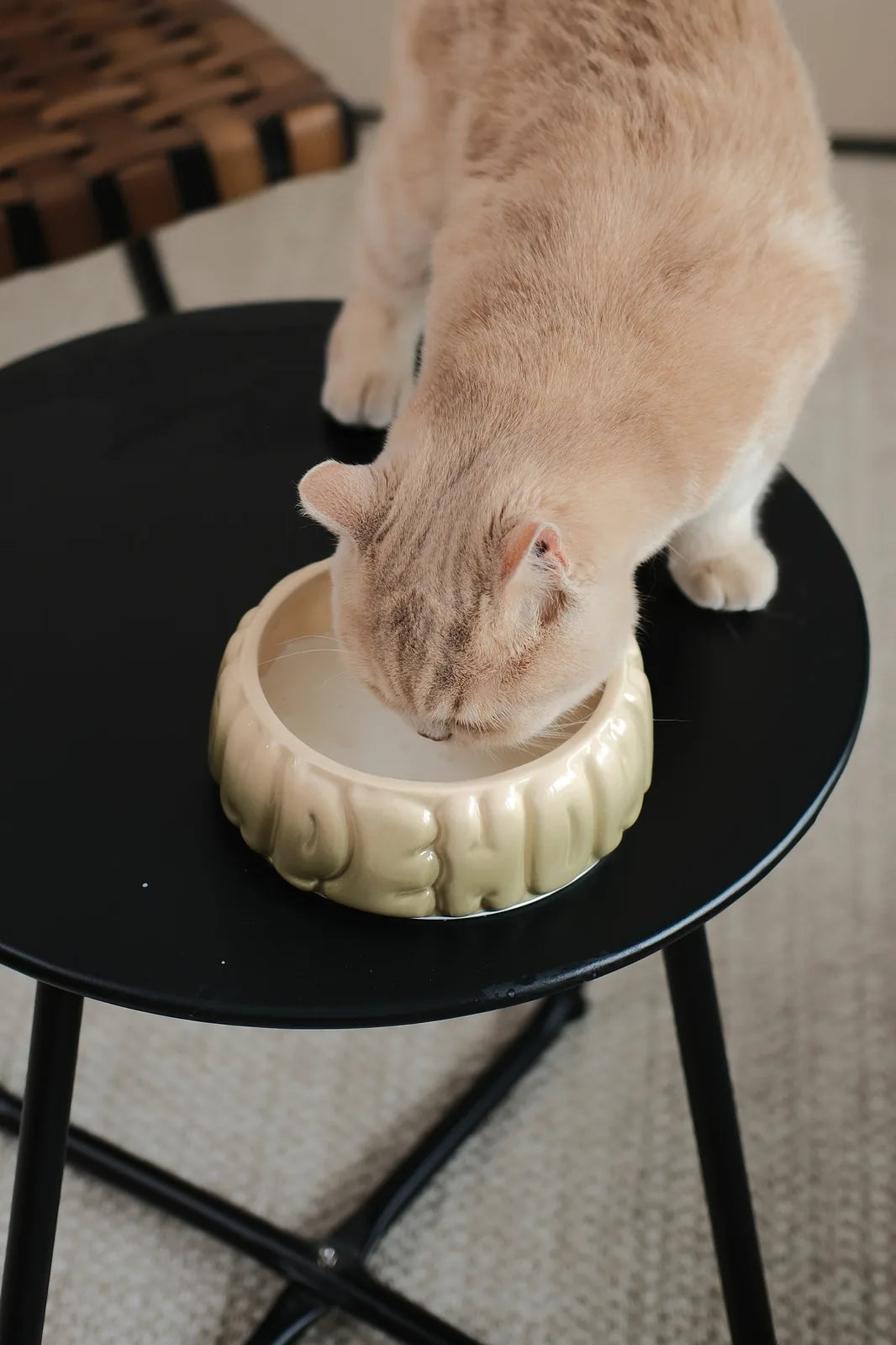 Ceramic gradient olive pet bowl with a spill-proof design, being used by a cat on a black table.