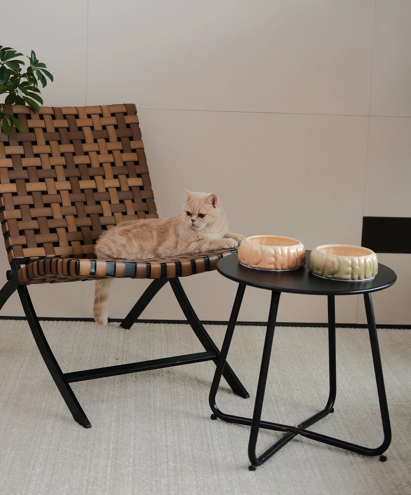 Ceramic Puff Pet Bowl in Gradient Olive beside an orange bowl, with a relaxed cat on a stylish chair.