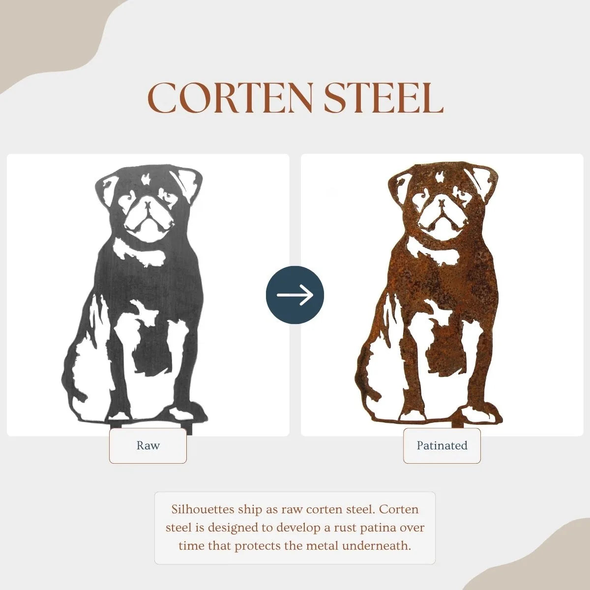Pug metal silhouette in raw corten steel, illustrating the transformation to a rust patina over time.