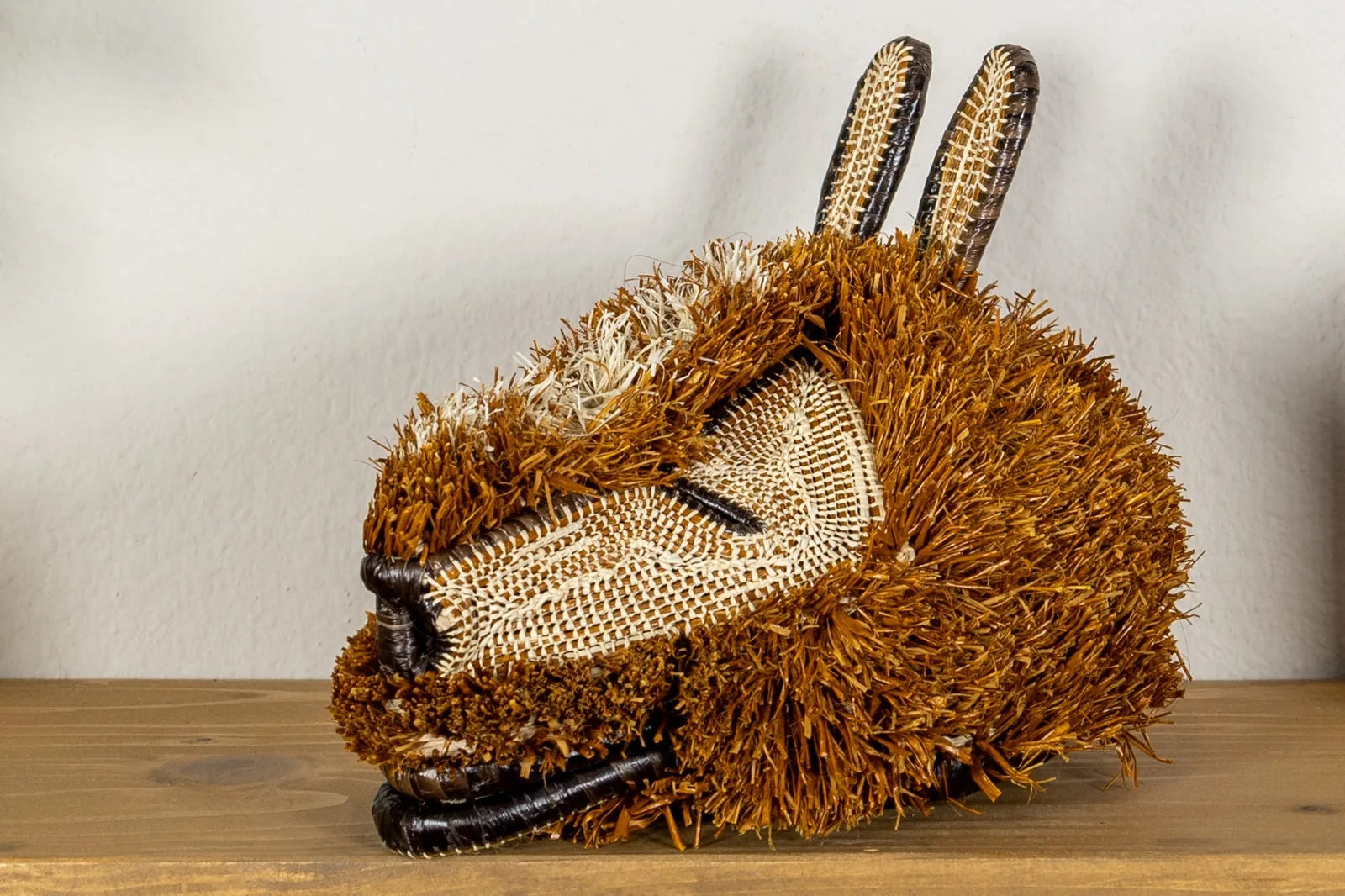 Handwoven puppy dog mask in warm brown tones, featuring textured natural fibers and intricate rainforest-inspired patterns.