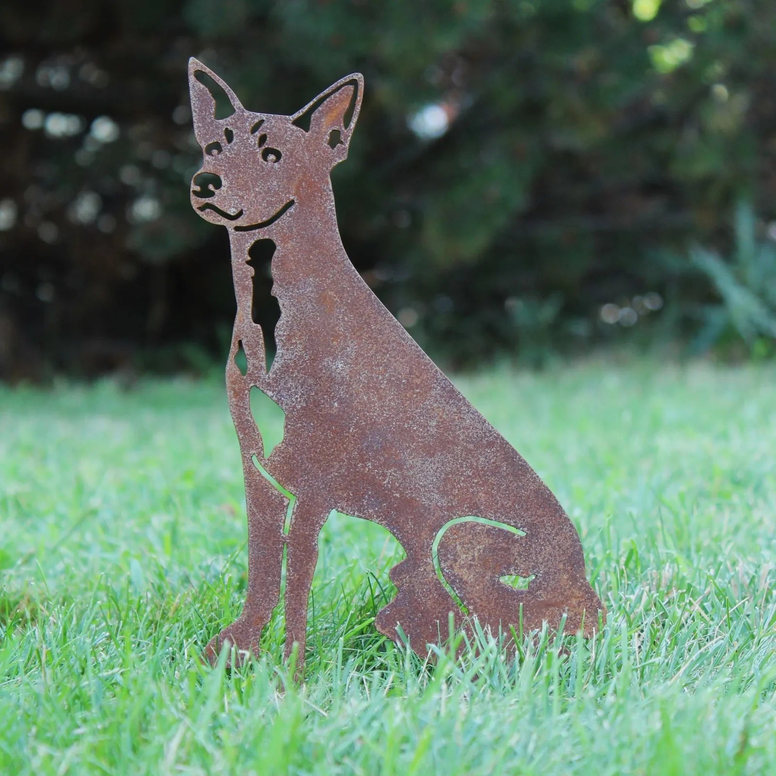 Rusty Corten steel silhouette of a Rat Terrier, standing on grass, ideal for garden decor and outdoor art.