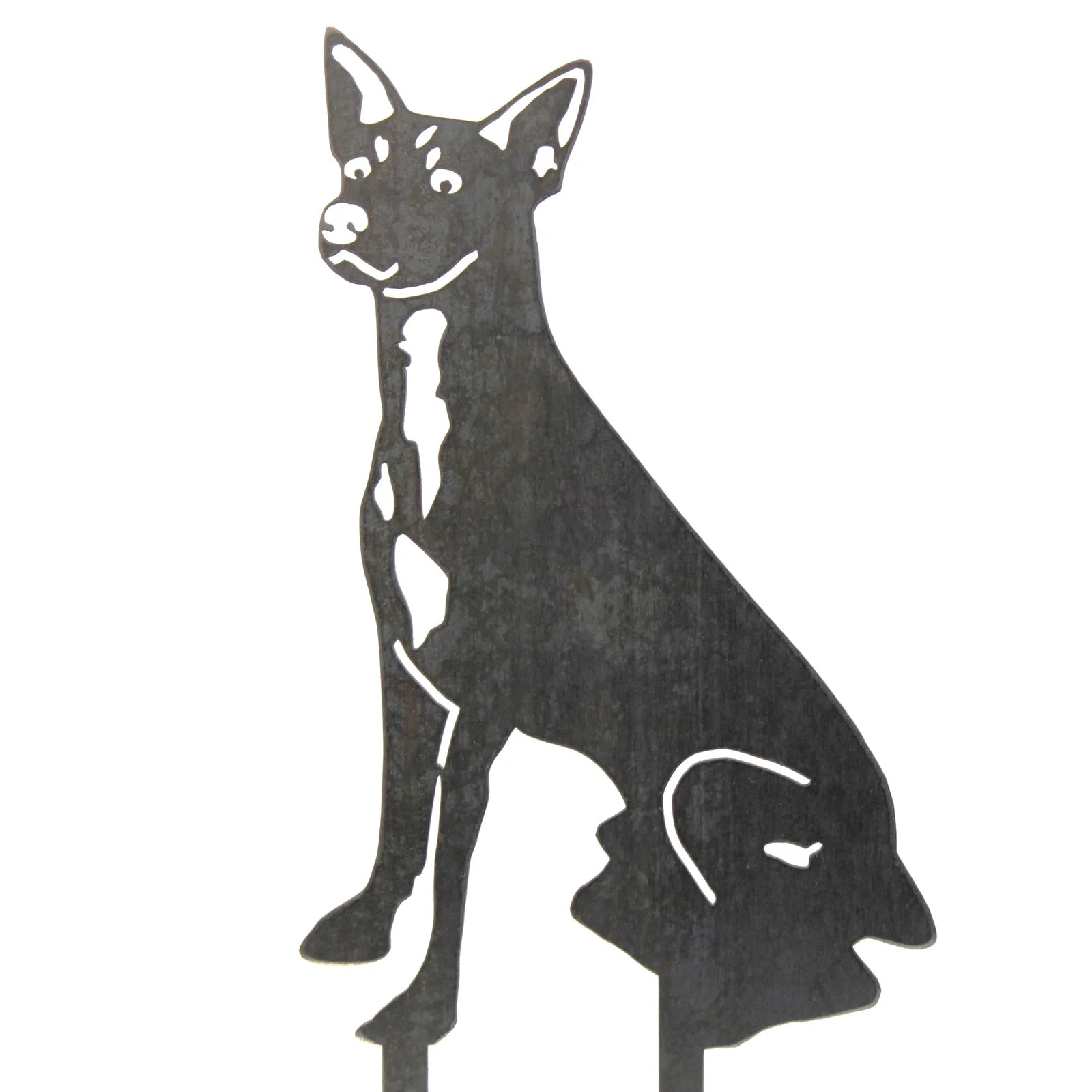 Rat Terrier silhouette crafted from dark Corten steel, featuring a standing pose with intricate detailing for outdoor decor.