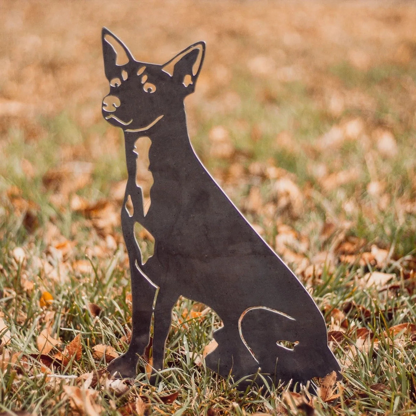 Rat Terrier metal silhouette in matte black, sitting among fallen leaves and grass, adds rustic charm to outdoor decor.