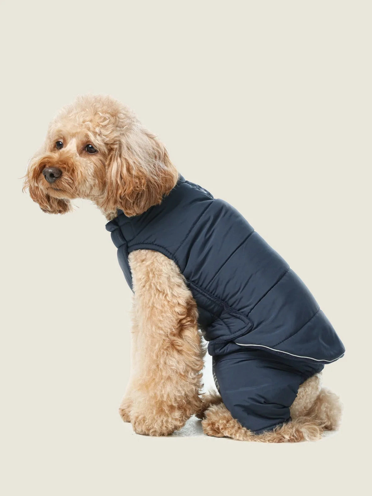 Reversible blue dog vest jacket featuring a warm fleece lining, adjustable fit, and reflective details for visibility.