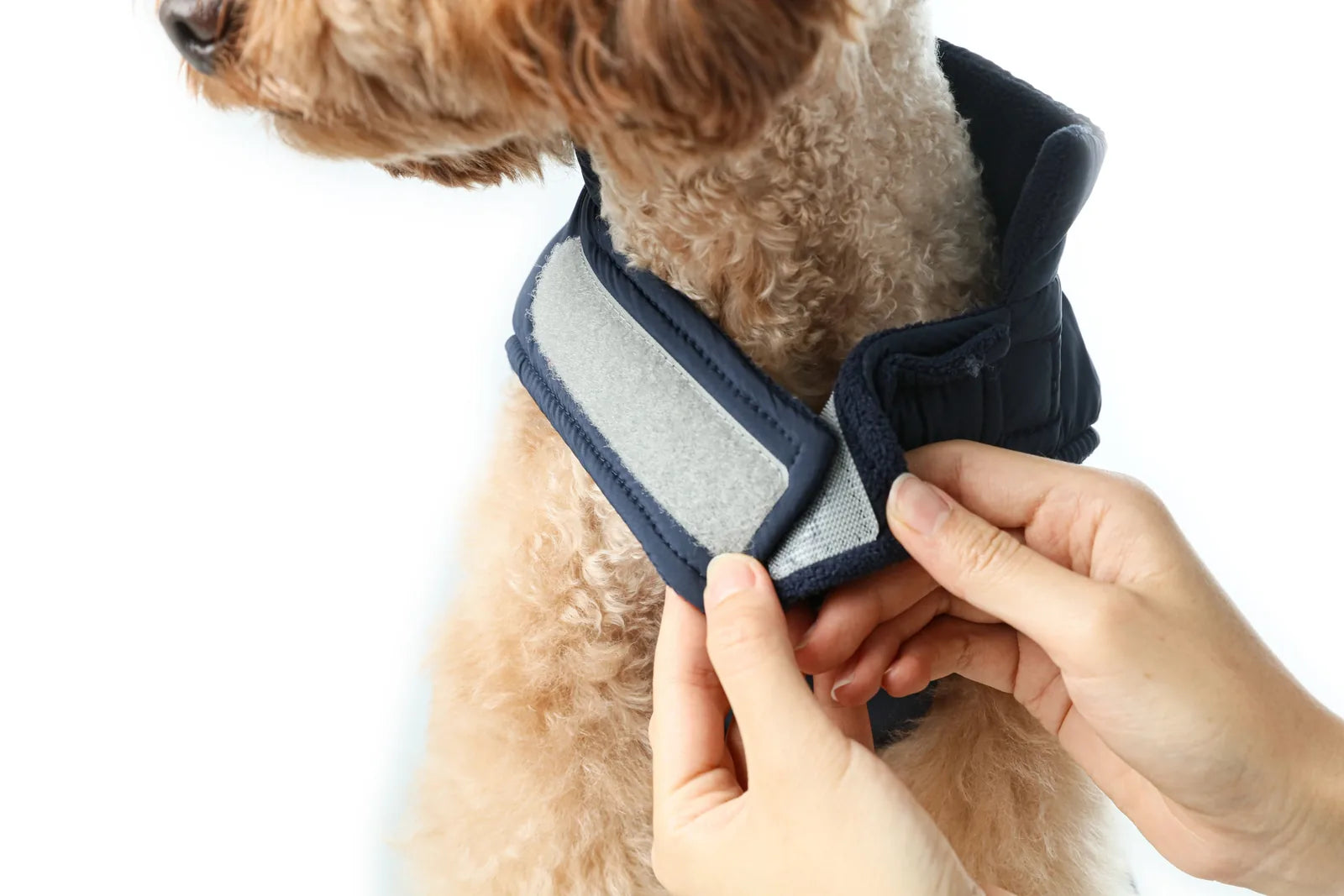 Adjustable blue dog vest with fleece lining, showcasing Velcro closure and a cozy fit for chilly weather.