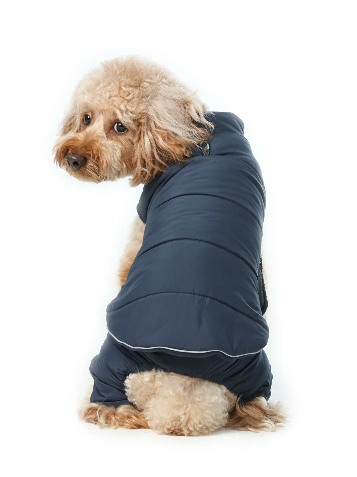 Reversible blue dog vest jacket with polar fleece lining, featuring adjustable closures and reflective details.