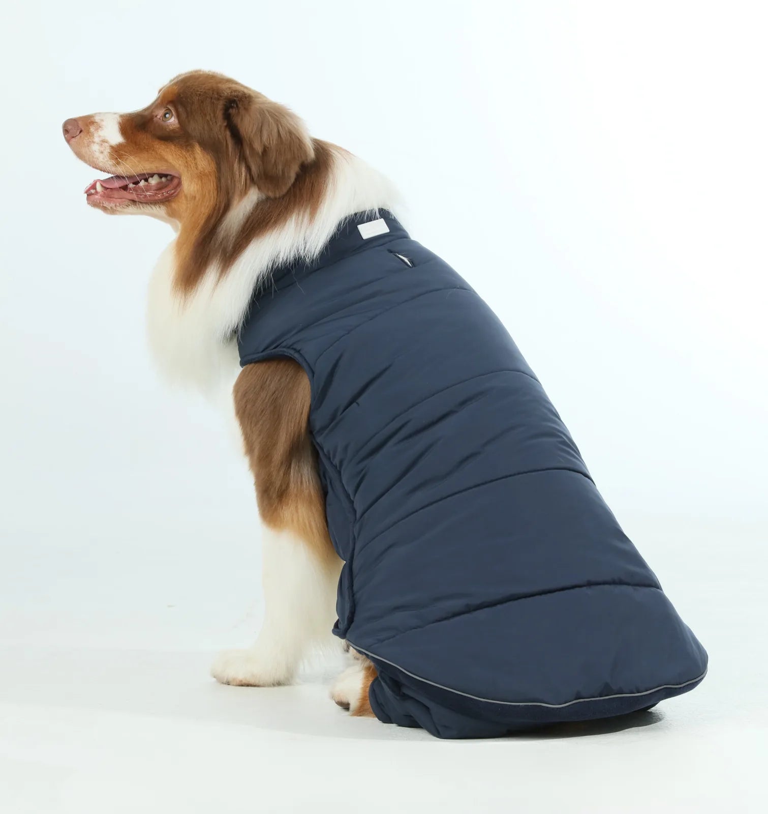 Reversible blue dog vest jacket with thick fleece lining, designed for warmth and comfort in cold weather.