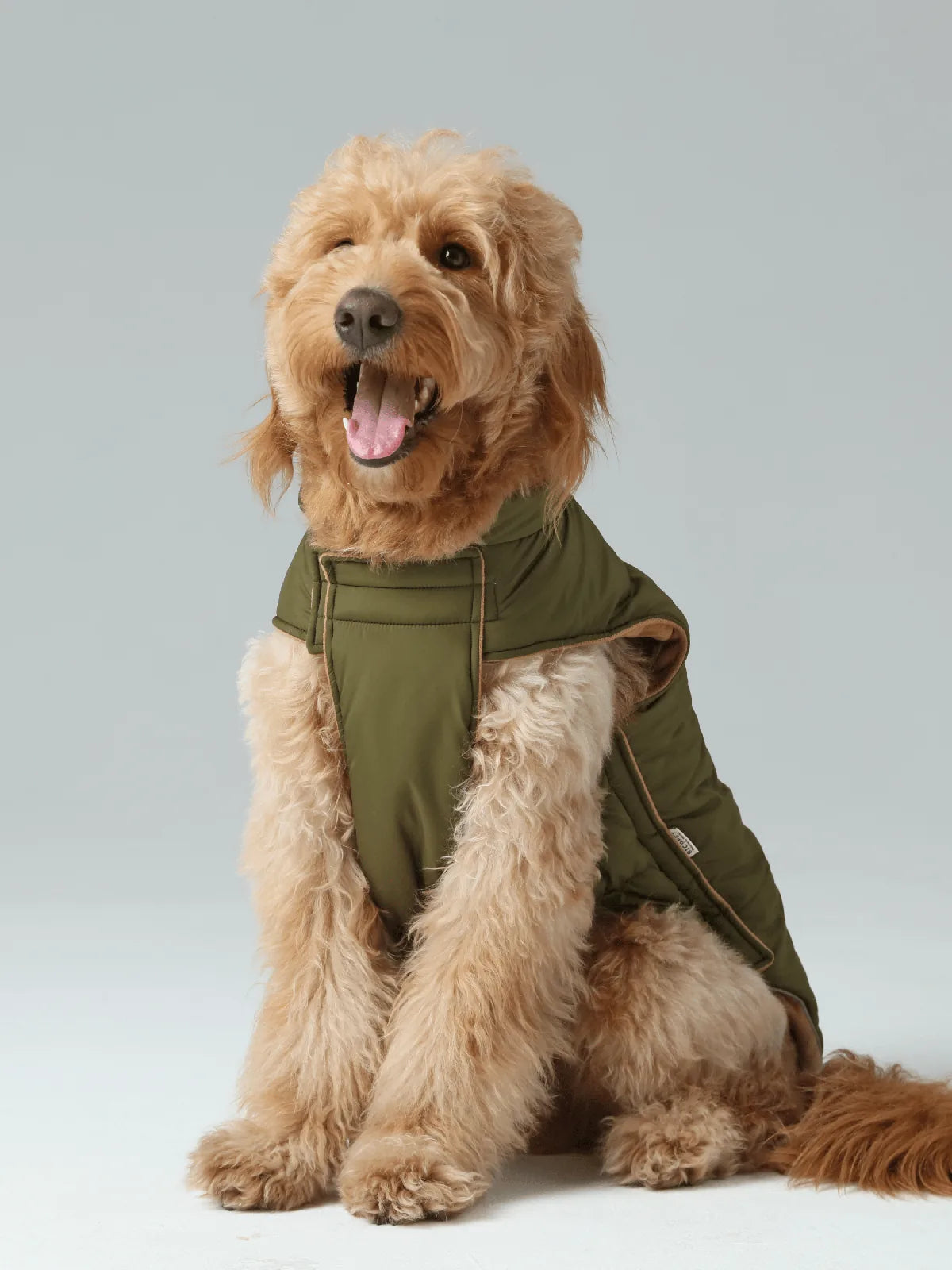 Reversible green dog vest jacket with a warm fleece lining, designed for comfort and outdoor adventures.