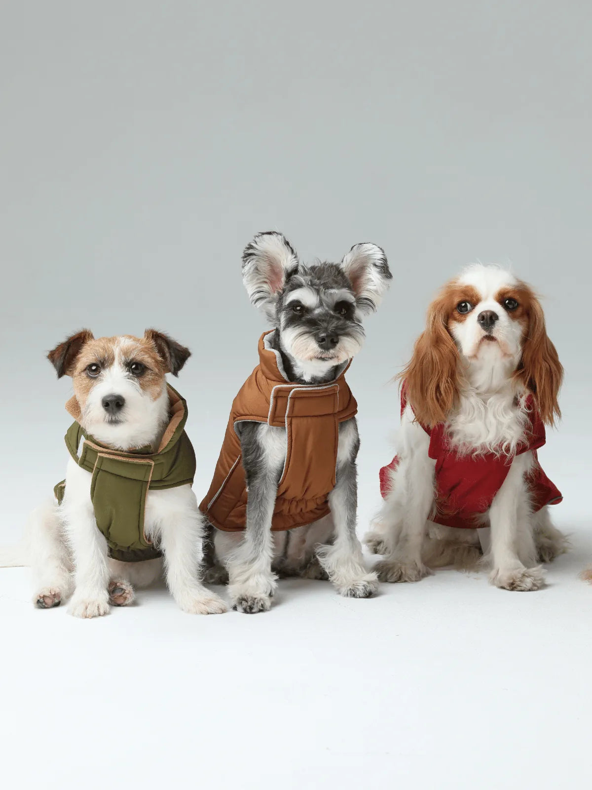 Three dogs wearing colorful reversible vests: green, brown, and red, showcasing comfort and style for outdoor adventures.