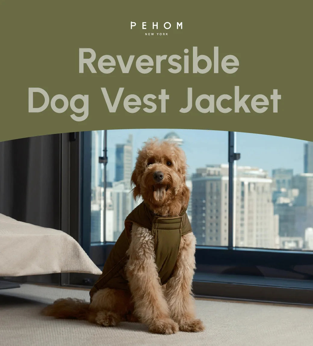 Reversible green-brown dog vest jacket on a furry dog, showcasing its cozy design in a modern indoor setting.