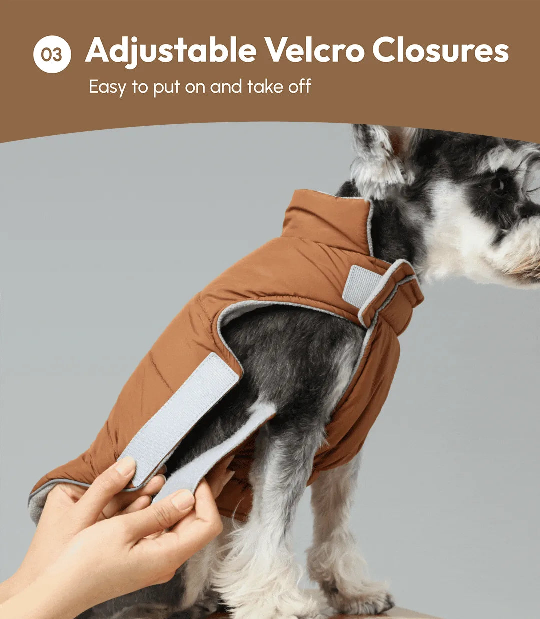 Reversible brown dog vest with adjustable Velcro closures, shown on a pup ready for easy wear.