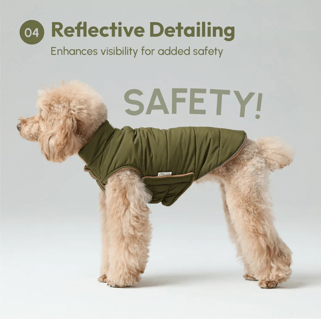 Reversible green and brown dog vest jacket with reflective details, worn by a fluffy dog for added safety.