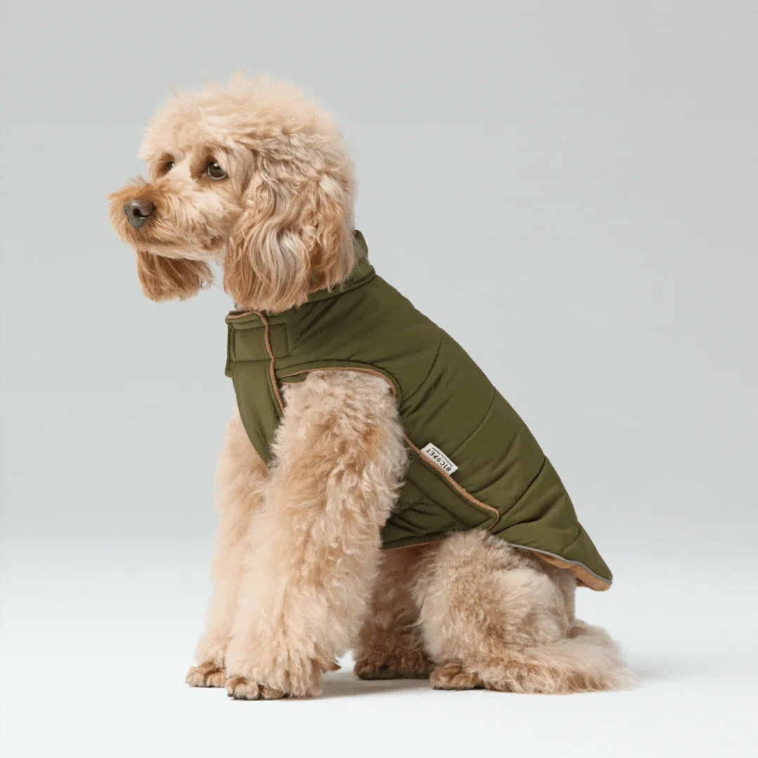 Reversible dog vest jacket in green, featuring a windproof, water-repellent exterior and warm fleece lining.