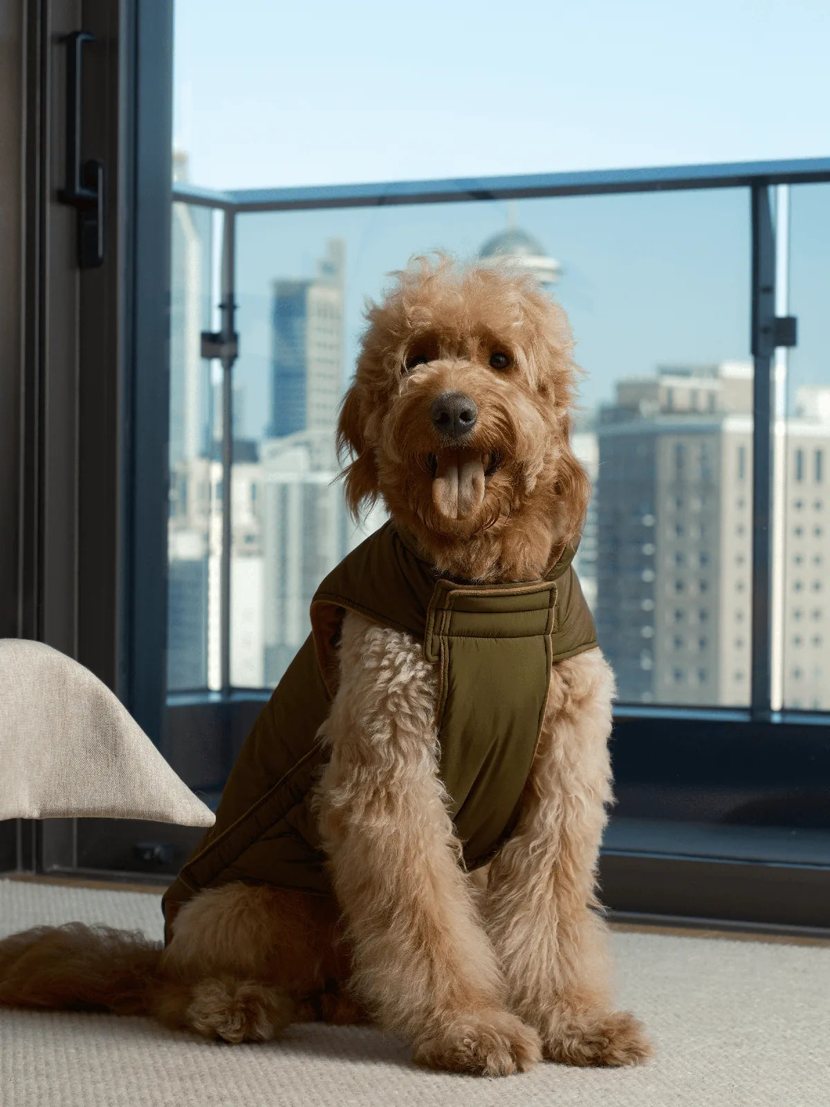 Reversible green and brown dog vest jacket on a golden doodle, showcasing a cozy fit and stylish design for outdoor advent...