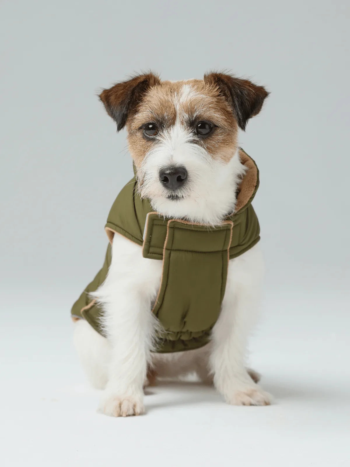 Reversible green and brown dog vest jacket with plush lining, designed for comfort and warmth, on a seated dog.