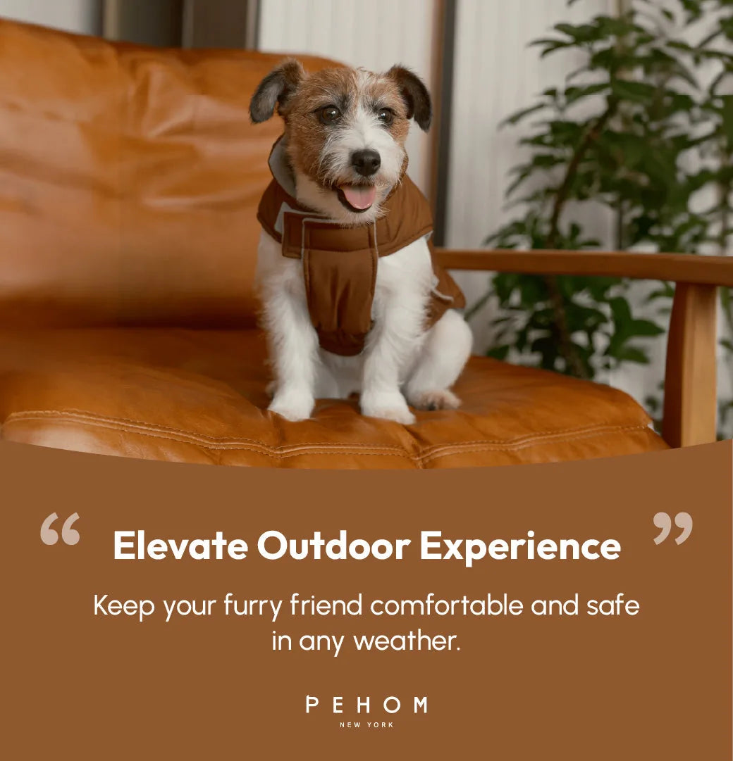 Reversible orange and grey dog vest jacket with polar fleece lining, fitted comfortably on a seated dog against a leather...