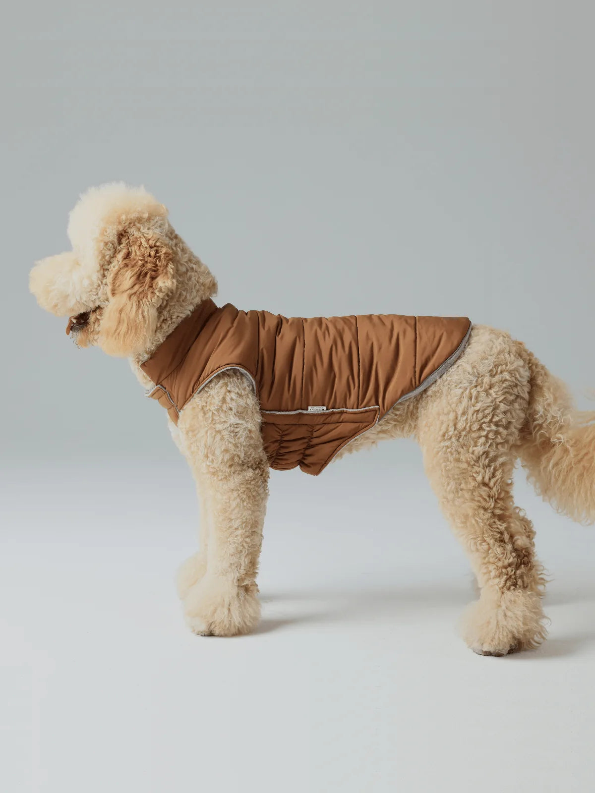 Reversible orange and grey dog vest jacket on a fluffy dog, showcasing windproof material and adjustable fit.