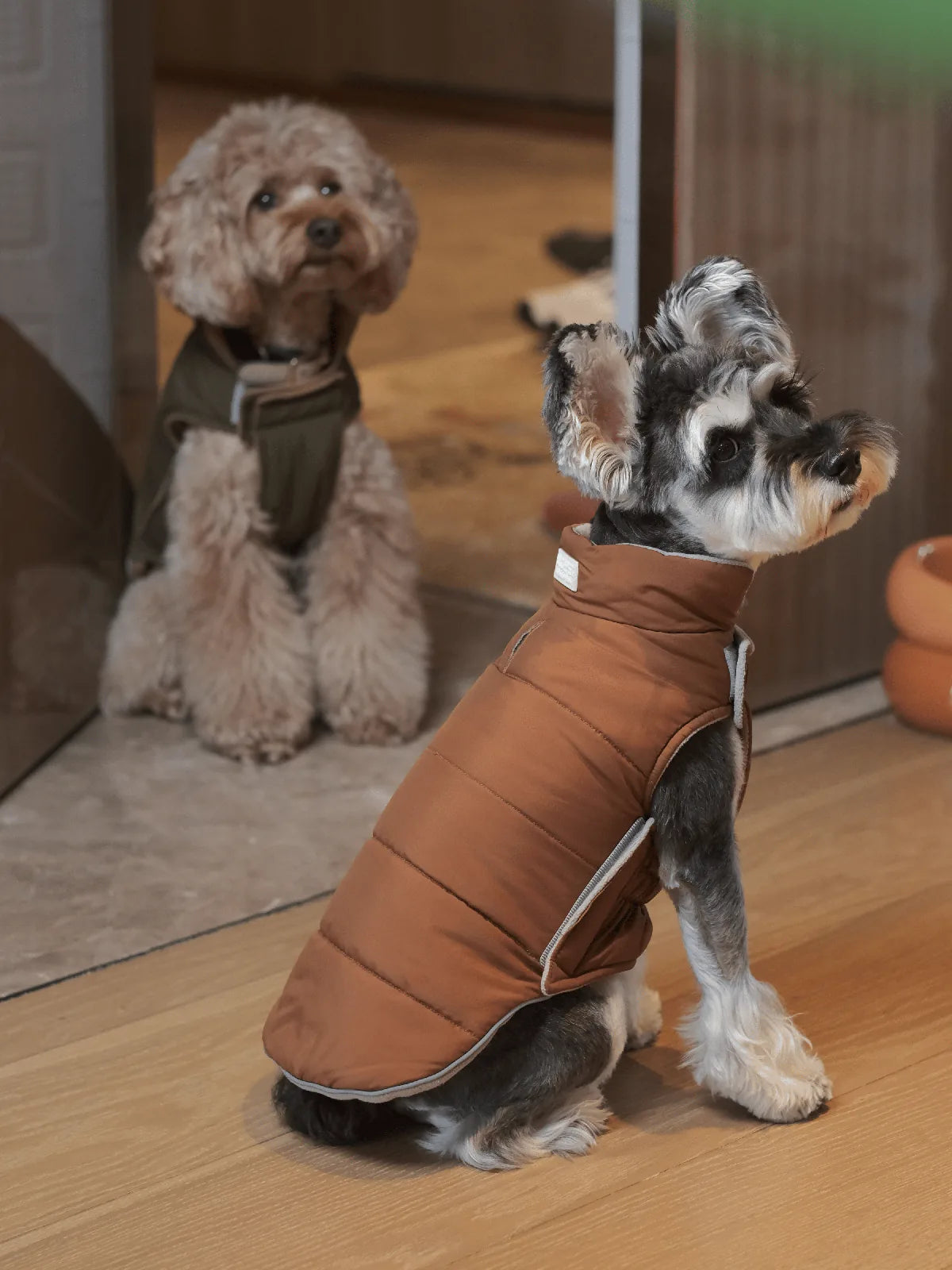 Reversible orange-gray dog vest jacket on a schnauzer, featuring a plush lining and reflective details for safety.