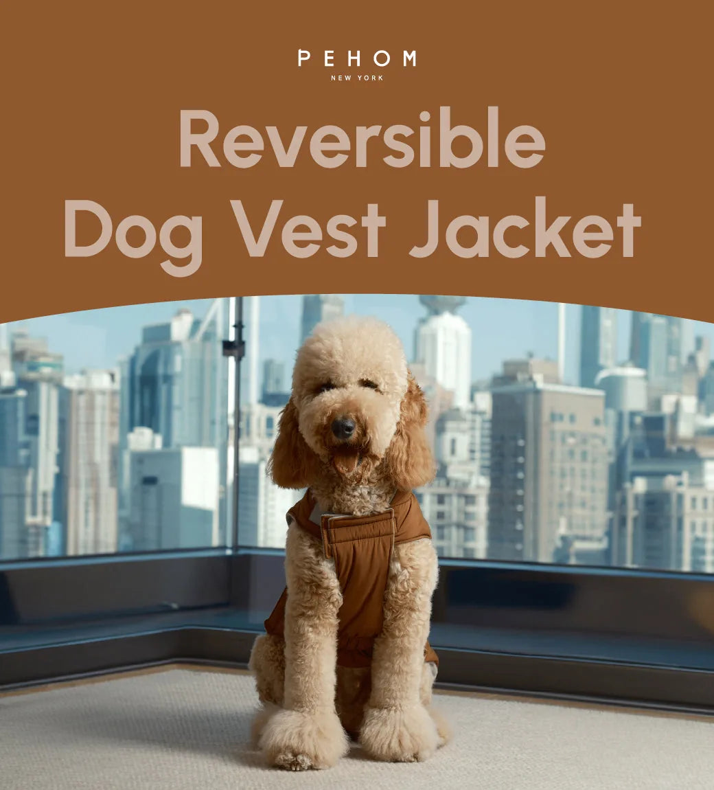 Reversible orange and grey dog vest jacket on a fluffy dog, featuring adjustable closures for a snug fit.