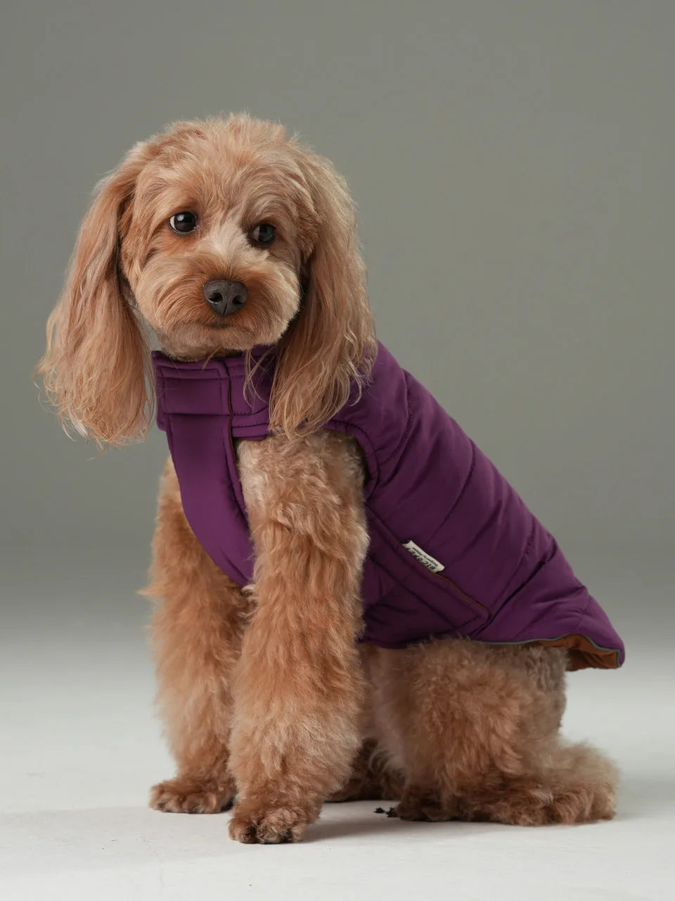 Reversible dog vest jacket in purple with caramel lining, featuring a snug fit and soft polyester material.