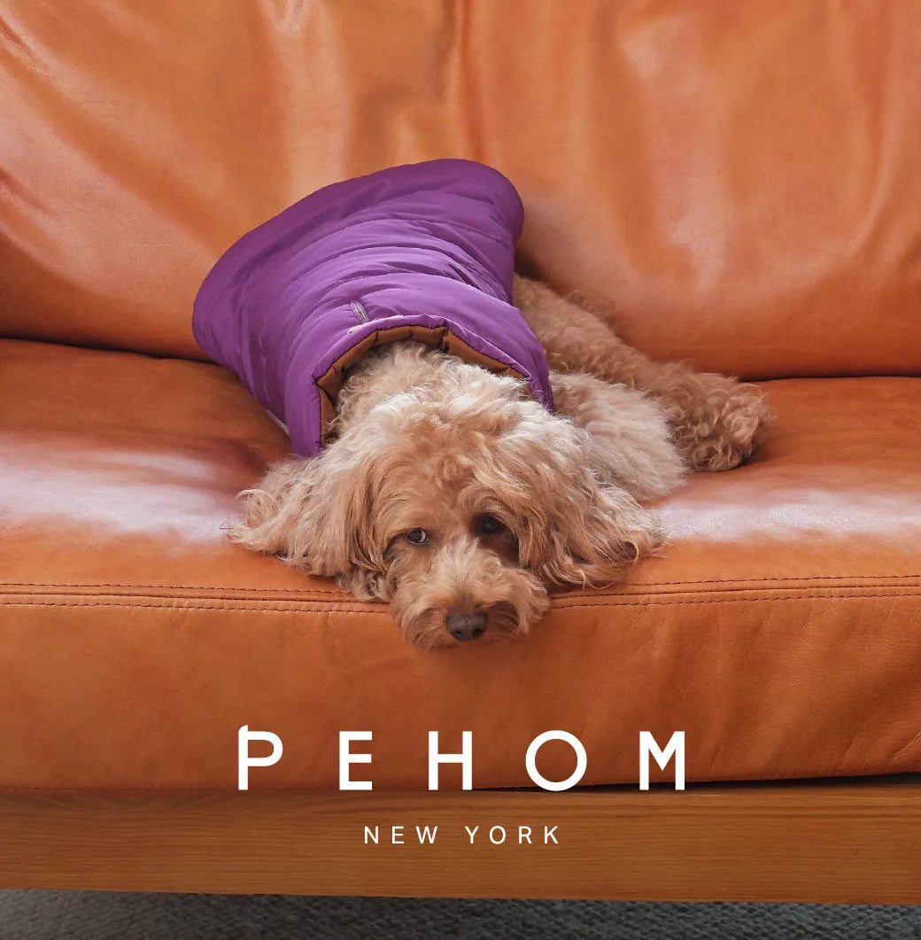 Cozy dog resting on a leather couch, wearing a reversible purple caramel vest jacket.